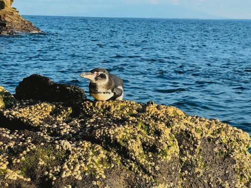 53696762614_f157630332_o