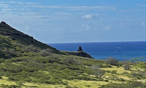 IMG_5225