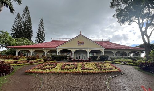 IMG_5130