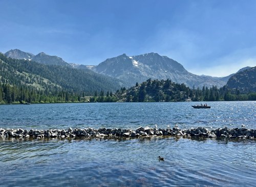 IMG_9874