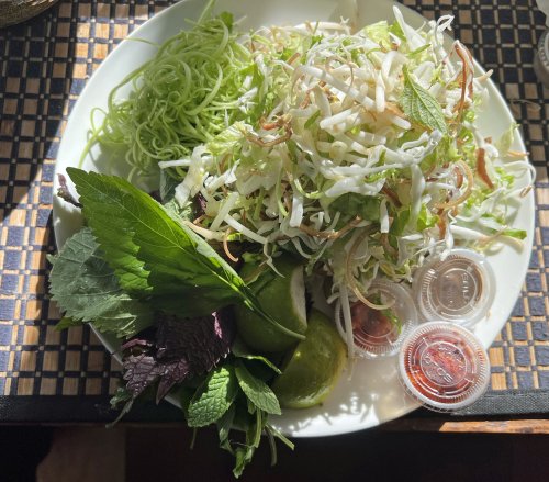 Phuong Nga TO 05