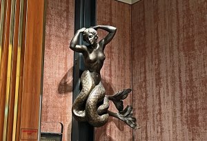 IMG_2422