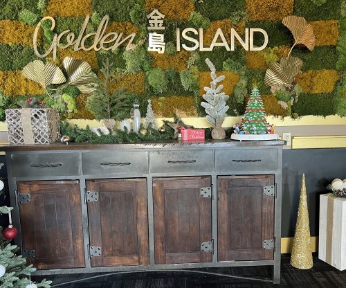 Golden Island Duck 03