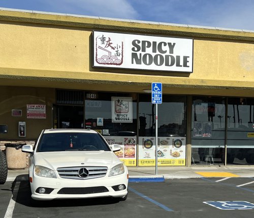 Spicy Noodle Rev 01