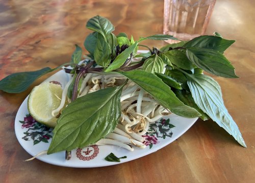 Pho Hoa LV Rev 03