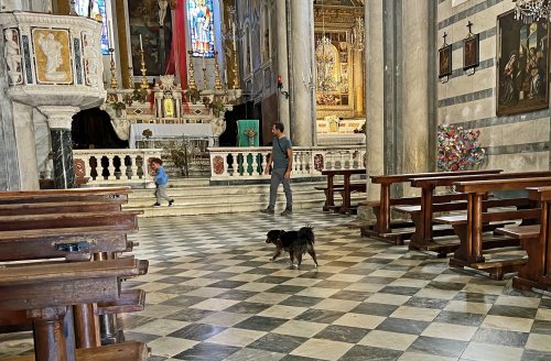 IMG_2953