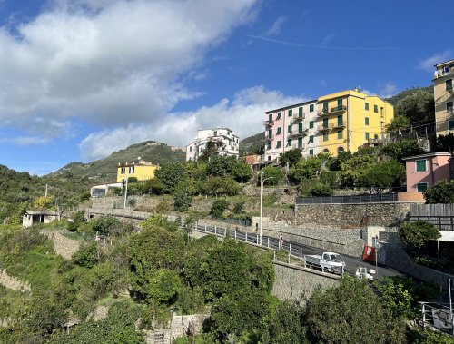 IMG_2960