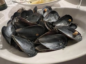 IMG_2908