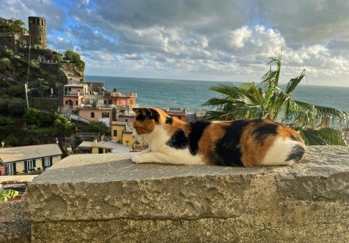 IMG_2618 1 IMG_2618 1