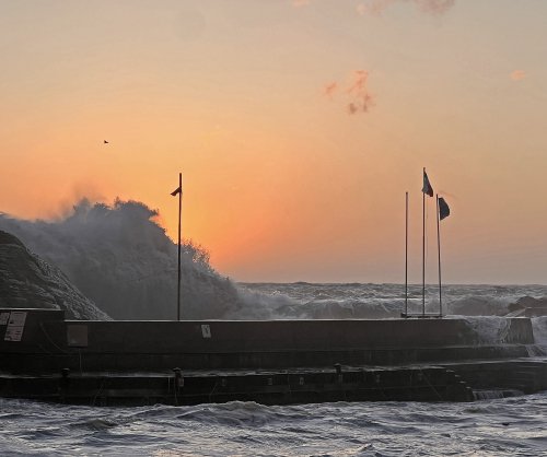 IMG_2893