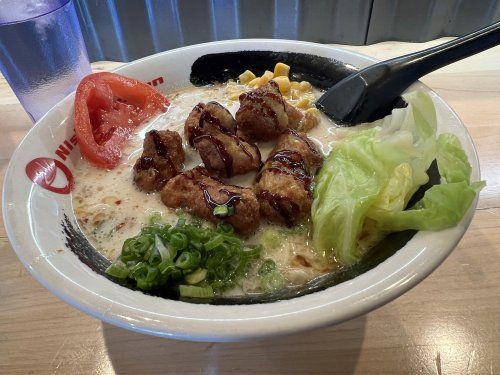 Nishiki Vegan 10