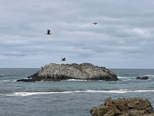 IMG_7700