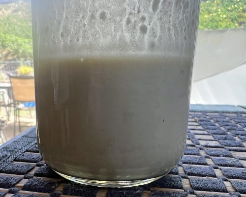Tahini Dressing 05