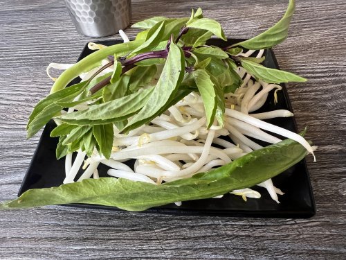 Pho Leo 04